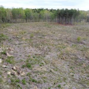 Photo #6 of Prince Edward Hwy, Rice, VA 20.8 acres