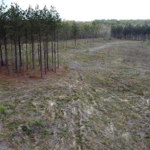 Photo #7 of Prince Edward Hwy, Rice, VA 20.8 acres