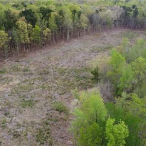 Photo #8 of Prince Edward Hwy, Rice, VA 20.8 acres