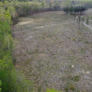 Photo #9 of Prince Edward Hwy, Rice, VA 20.8 acres