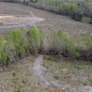 Photo #10 of Prince Edward Hwy, Rice, VA 27.4 acres