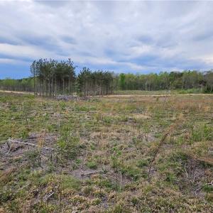 Photo #18 of Prince Edward Hwy, Rice, VA 27.4 acres