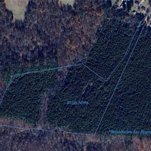 Photo #2 of Prince Edward Hwy, Rice, VA 27.4 acres