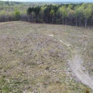 Photo #8 of Prince Edward Hwy, Rice, VA 27.4 acres