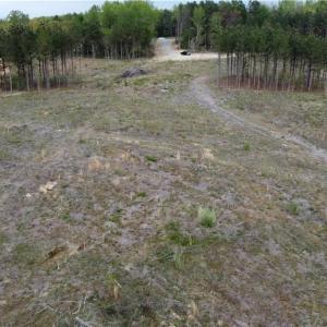 Photo #11 of Prince Edward Hwy, Rice, VA 14.9 acres
