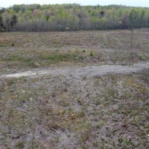 Photo #7 of Prince Edward Hwy, Rice, VA 14.9 acres