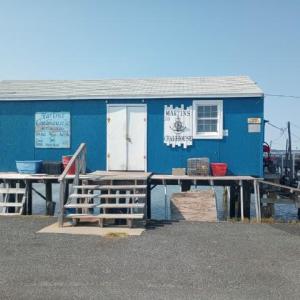 Photo #13 of LOT 160D STARLING CREEK ROAD, SAXIS, VA 0.8 acres