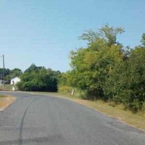 Photo #5 of LOT 160D STARLING CREEK ROAD, SAXIS, VA 0.8 acres