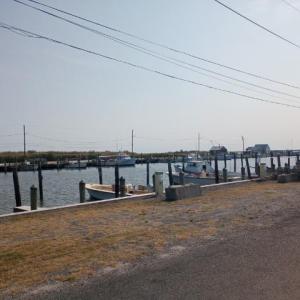 Photo #8 of LOT 160D STARLING CREEK ROAD, SAXIS, VA 0.8 acres