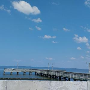 Photo #18 of LOT 160D STARLING CREEK ROAD, SAXIS, VA 0.8 acres