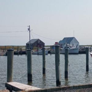 Photo #10 of LOT 160D STARLING CREEK ROAD, SAXIS, VA 0.8 acres