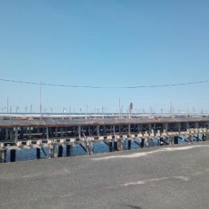 Photo #12 of LOT 160D STARLING CREEK ROAD, SAXIS, VA 0.8 acres