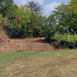 Photo #3 of LOT 160D STARLING CREEK ROAD, SAXIS, VA 0.8 acres