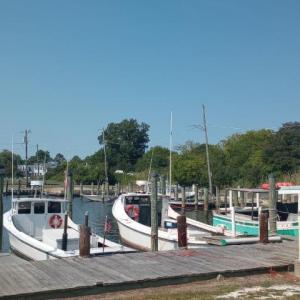 Photo #7 of LOT 160D STARLING CREEK ROAD, SAXIS, VA 0.8 acres