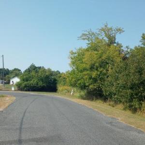 Photo #6 of LOT 160D STARLING CREEK ROAD, SAXIS, VA 0.8 acres