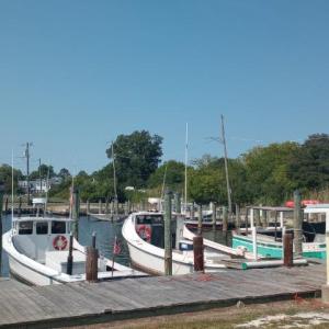 Photo #8 of LOT 160D STARLING CREEK ROAD, SAXIS, VA 0.8 acres