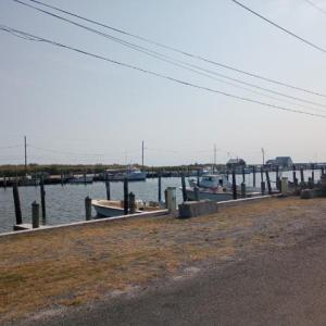 Photo #9 of LOT 160D STARLING CREEK ROAD, SAXIS, VA 0.8 acres