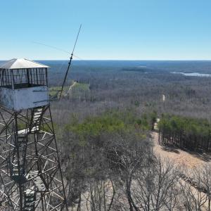 Photo #13 of 628 Mountain Creek Rd, Green Bay, VA 42.3 acres