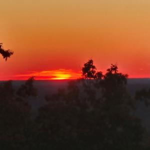 Photo #6 of 628 Mountain Creek Rd, Green Bay, VA 42.3 acres