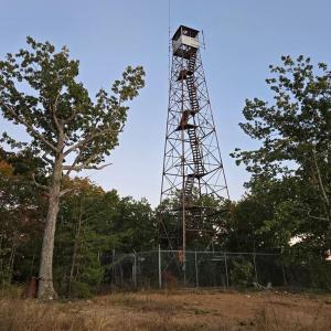 Photo #11 of 628 Mountain Creek Rd, Green Bay, VA 42.3 acres