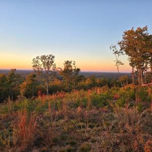 Photo #2 of 628 Mountain Creek Rd, Green Bay, VA 42.3 acres