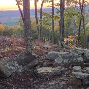 Photo #10 of 628 Mountain Creek Rd, Green Bay, VA 42.3 acres