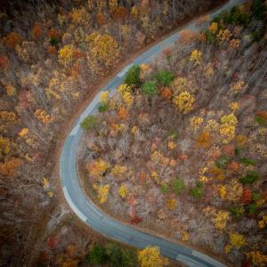 Photo #14 of 628 Mountain Creek Rd, Green Bay, VA 42.3 acres