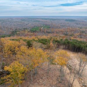 Photo #16 of 628 Mountain Creek Rd, Green Bay, VA 42.3 acres