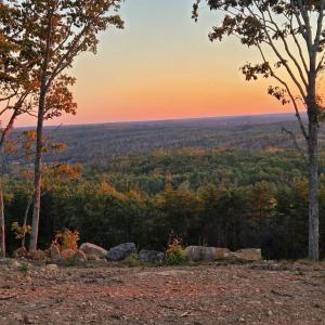 Photo #3 of 628 Mountain Creek Rd, Green Bay, VA 42.3 acres