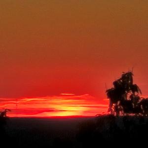 Photo #8 of 628 Mountain Creek Rd, Green Bay, VA 42.3 acres