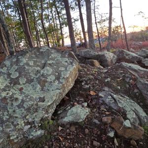 Photo #9 of 628 Mountain Creek Rd, Green Bay, VA 42.3 acres