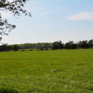 Photo #10 of Cedar Lane, Farmville, VA 103.7 acres