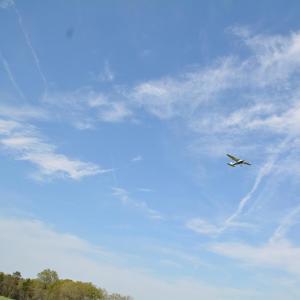 Photo #11 of Cedar Lane, Farmville, VA 103.7 acres