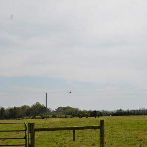 Photo #2 of Cedar Lane, Farmville, VA 103.7 acres