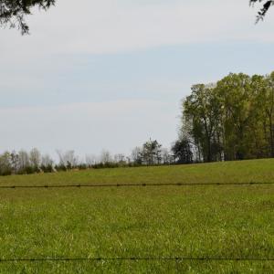 Photo #4 of Cedar Lane, Farmville, VA 103.7 acres