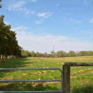 Photo #7 of Cedar Lane, Farmville, VA 103.7 acres
