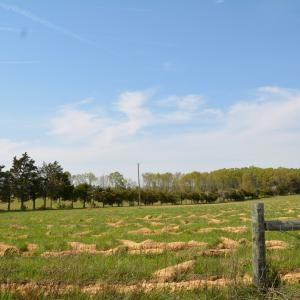 Photo #8 of Cedar Lane, Farmville, VA 103.7 acres