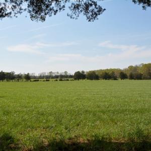Photo #9 of Cedar Lane, Farmville, VA 103.7 acres