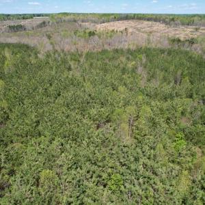 Photo #17 of Mountain Hall Rd, Crewe, VA 43.0 acres