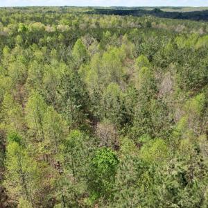 Photo #10 of Mountain Hall Rd, Crewe, VA 43.0 acres