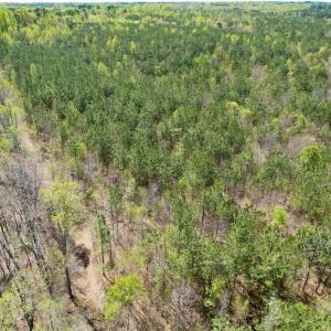 Photo #12 of Mountain Hall Rd, Crewe, VA 43.0 acres