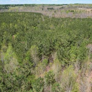 Photo #13 of Mountain Hall Rd, Crewe, VA 43.0 acres