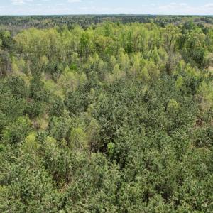 Photo #14 of Mountain Hall Rd, Crewe, VA 43.0 acres