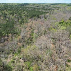 Photo #15 of Mountain Hall Rd, Crewe, VA 43.0 acres