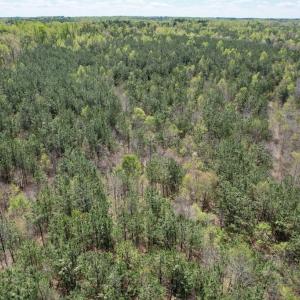 Photo #16 of Mountain Hall Rd, Crewe, VA 43.0 acres