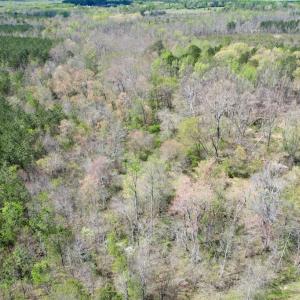 Photo #18 of Mountain Hall Rd, Crewe, VA 43.0 acres