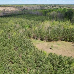 Photo #19 of Mountain Hall Rd, Crewe, VA 43.0 acres