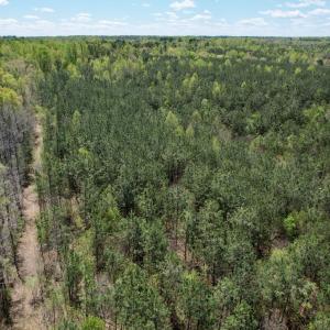 Photo #20 of Mountain Hall Rd, Crewe, VA 43.0 acres