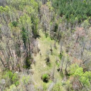 Photo #21 of Mountain Hall Rd, Crewe, VA 43.0 acres
