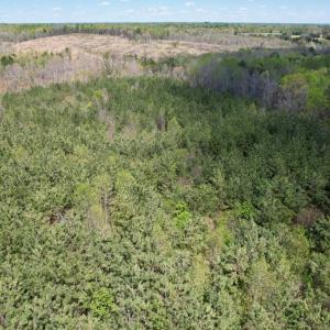 Photo #22 of Mountain Hall Rd, Crewe, VA 43.0 acres